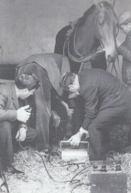About Veterinary X-ray Specialists